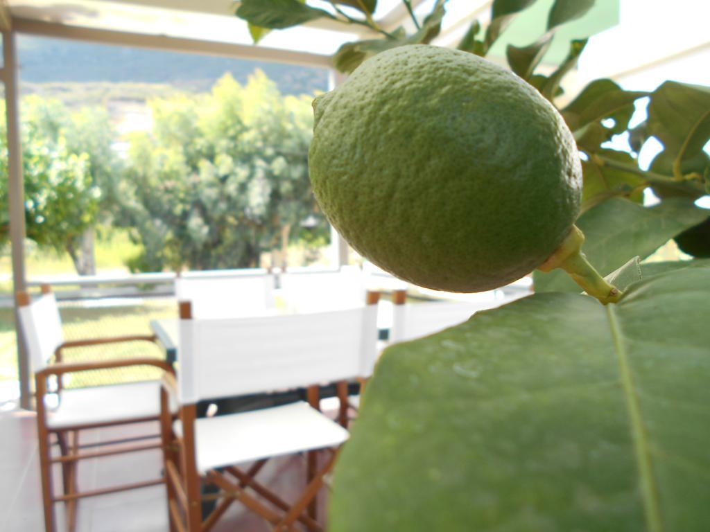 Art Sailing Apartment Vasiliki  Bagian luar foto